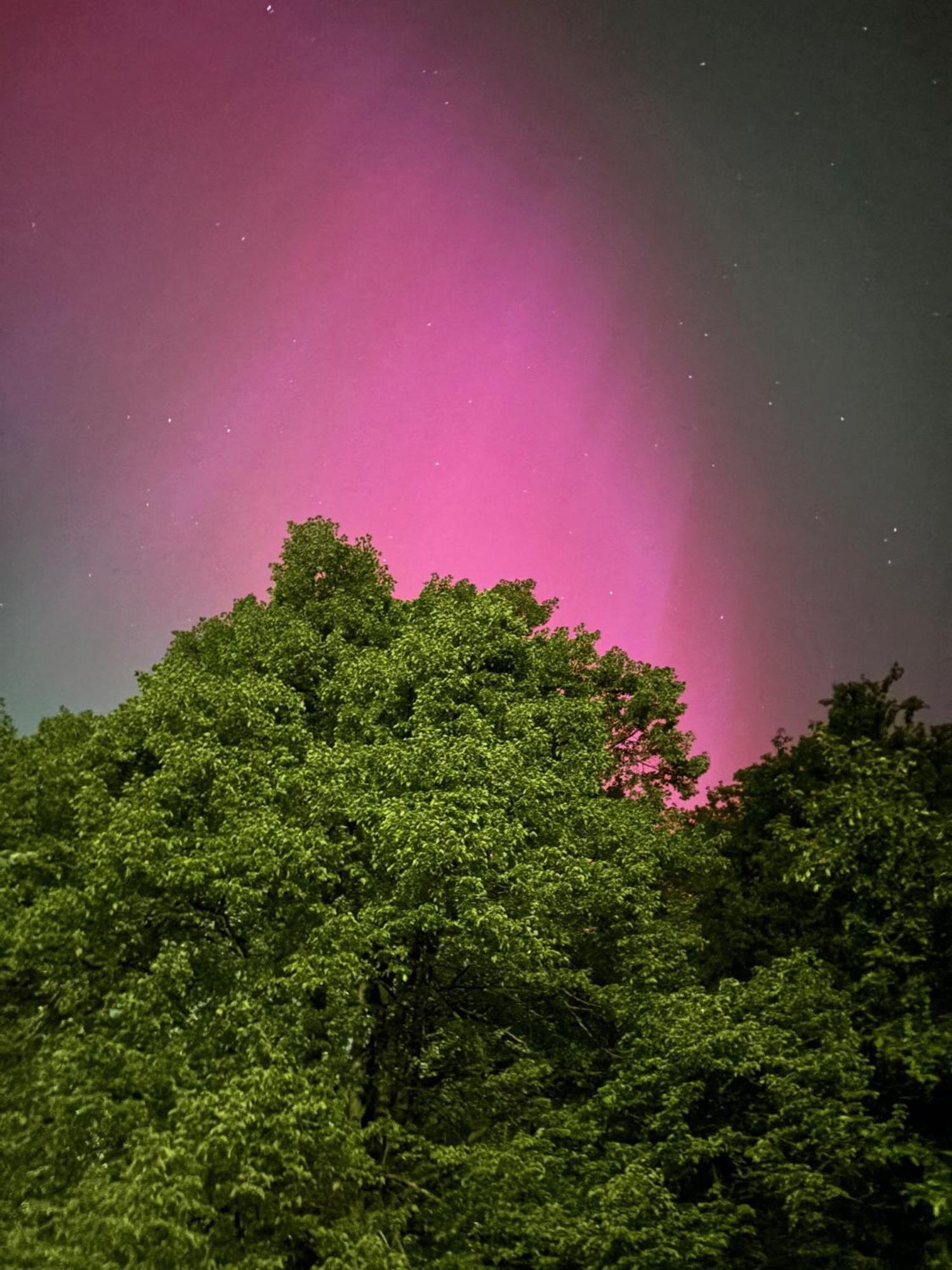 Apartmán Forsthaus Neudorf Harzgerode Exteriér fotografie